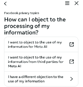 Meta AI Privacy Scandal Objectify