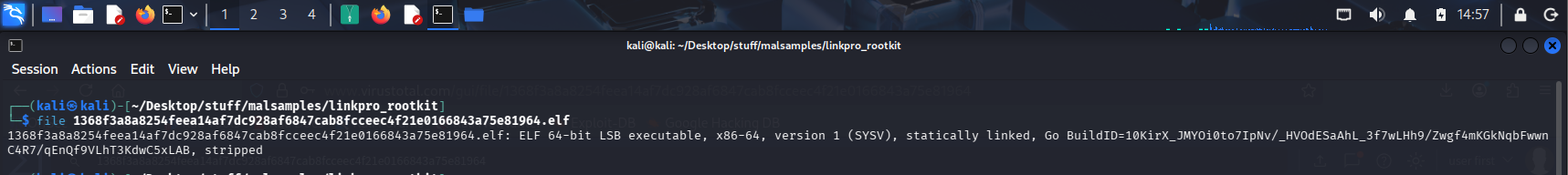 Kali LinkPro Rootkit file